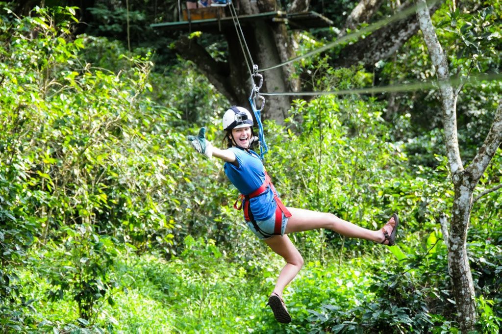 The Obi Obi National Park zipline will mimic similar Australian projects such as the Hollybank Treetops Adventure Tour in Tasmania, where riders can cruise through the trees. The Obi Obi National Park zipline will mimic similar Australian projects such as the Hollybank Treetops Adventure Tour in Tasmania, where riders can cruise through the trees.
